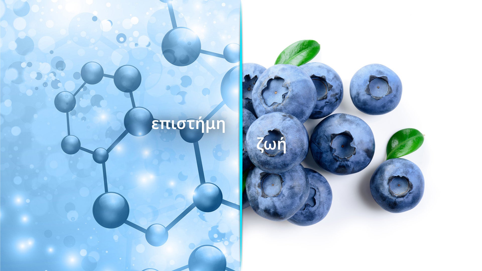 Μπλε μοριακή δομή στα αριστερά και βατόμουρα με πράσινα φύλλα στα δεξιά