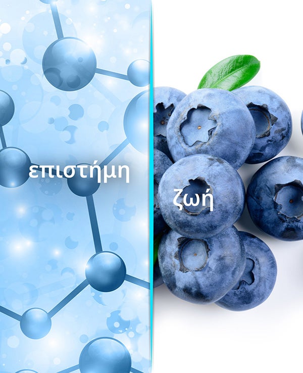 Μπλε μοριακή δομή στα αριστερά και βατόμουρα με πράσινα φύλλα στα δεξιά